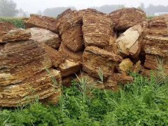 园林景观的规划与设计